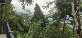 Melsang Homestay